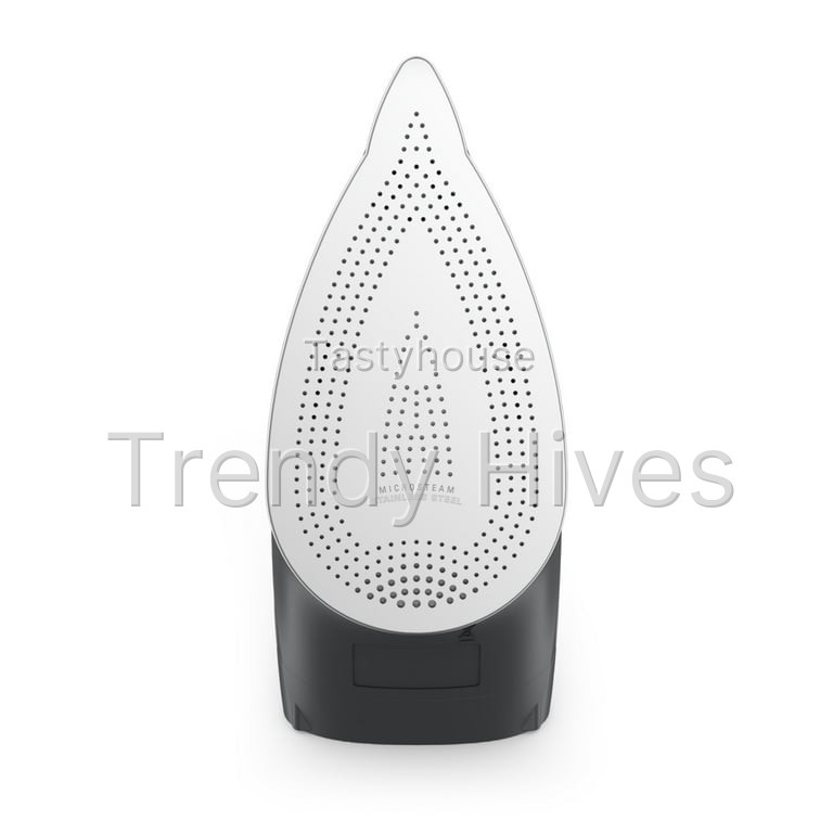 Rowenta Performance Steam Iron for Clothes