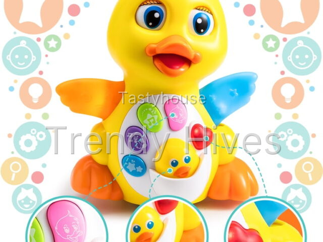 Joyfy Musical Toys for Toddlers