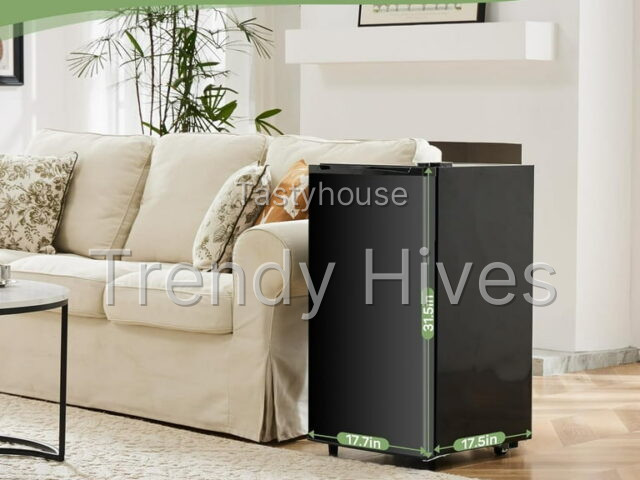 Mini Fridge for Bedroom
