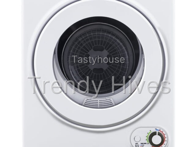 Portable Clothes Dryer