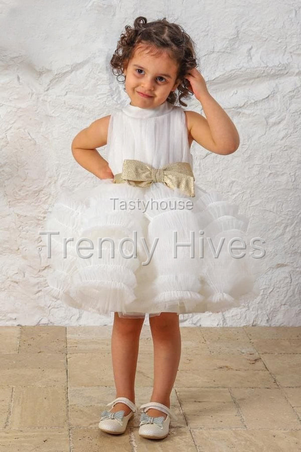 Enchante Elegance Dress