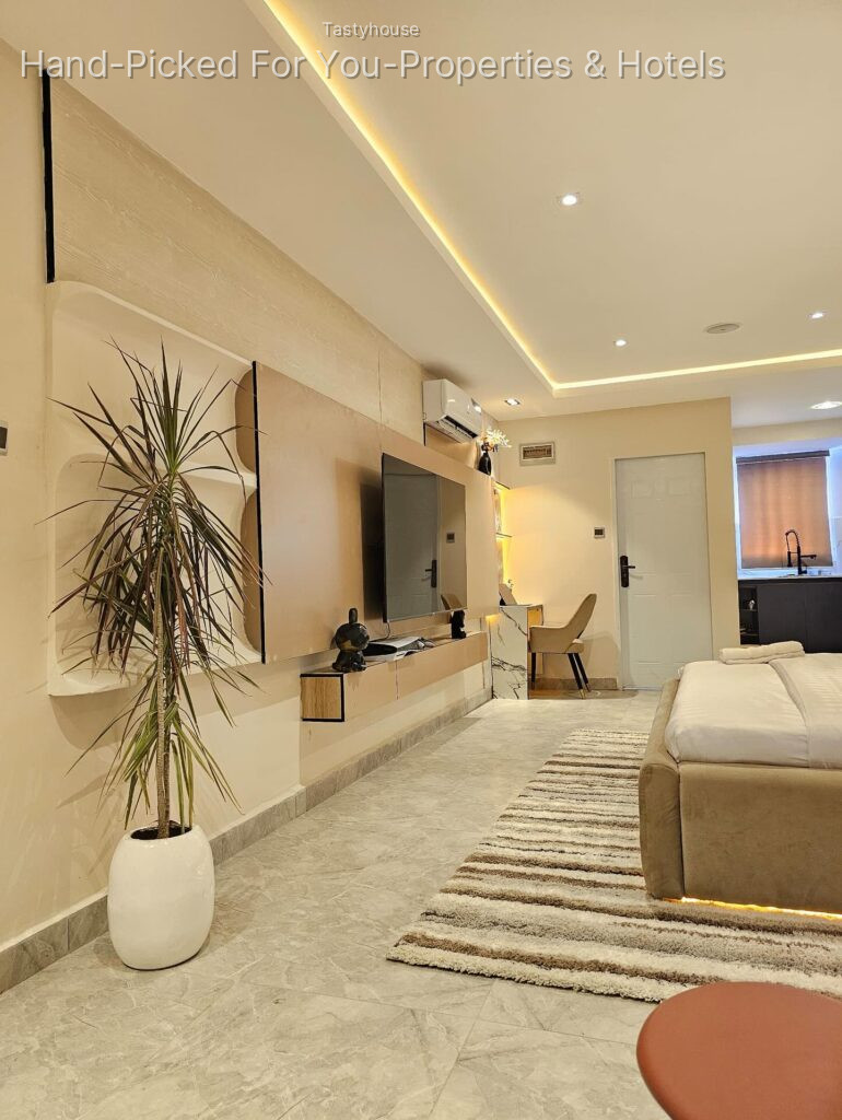 Beautiful studio apartment