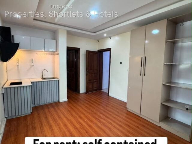 Lovely Self Contain Studio Apartment withan open plan kitchen f