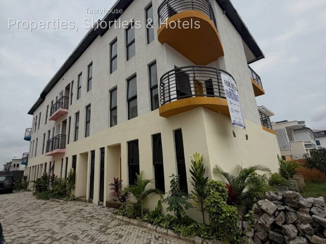 3-Bedroom Semi-Furnished Terrace Duplex