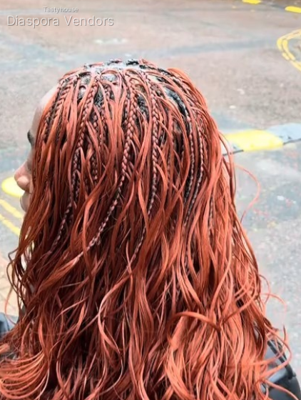 Braids by Cynthia