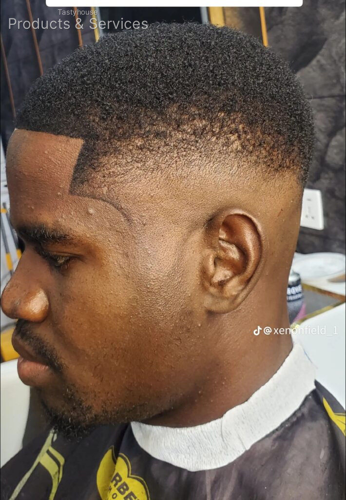 XENONCUTS