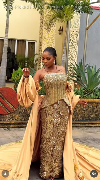 Gold & Chocolate Brown Embellished Corset Gown