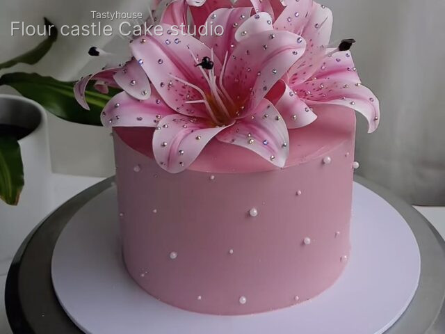 Bento cakes for photoshoot