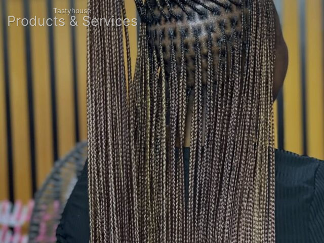 daniellazhairworld ( BONE STRAIGHT BRAIDS)