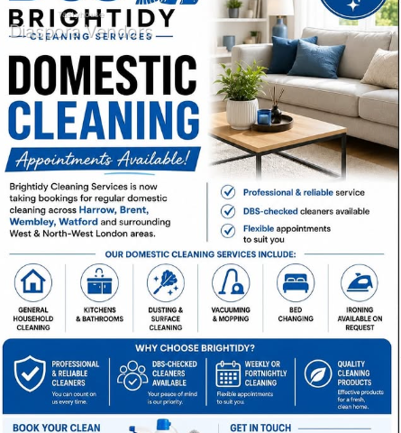 Domestic Cleaning