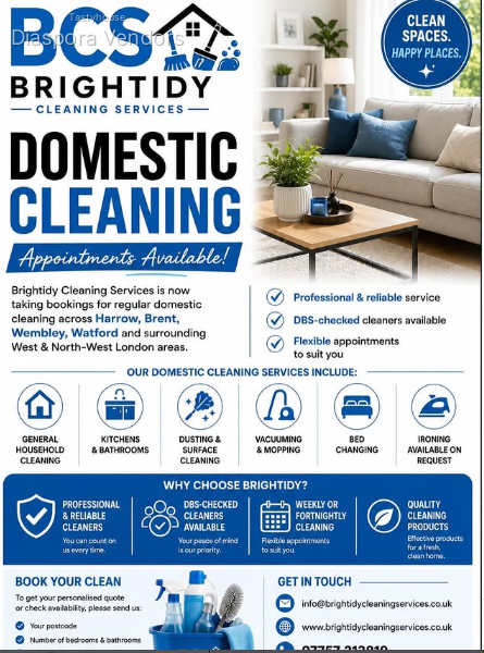 Domestic Cleaning