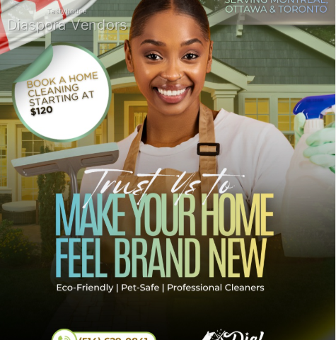 Professional Home Cleaning