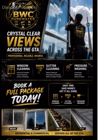 Window, Gutter & Pressure Washing