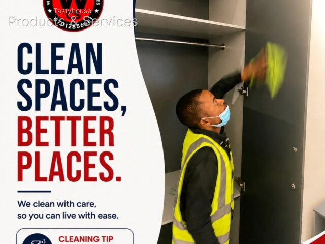 wholesome_cleaning_services