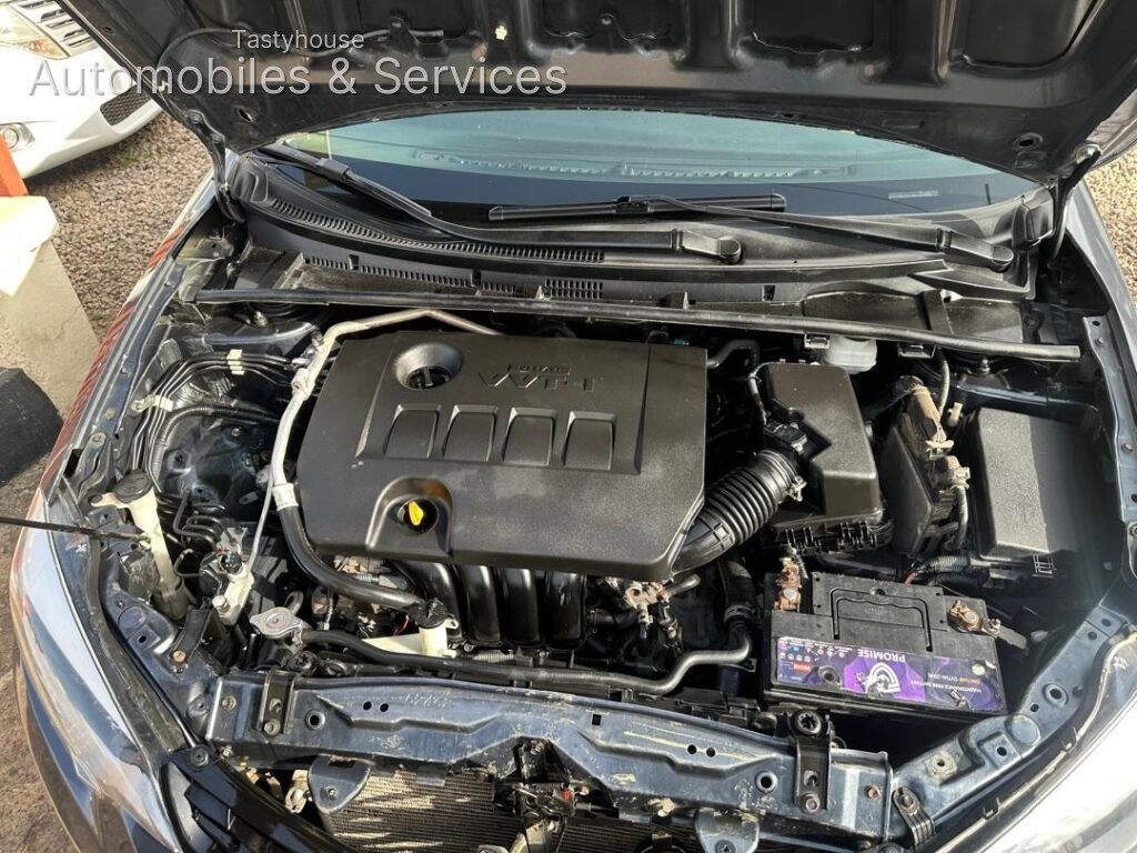2014-15 Corolla