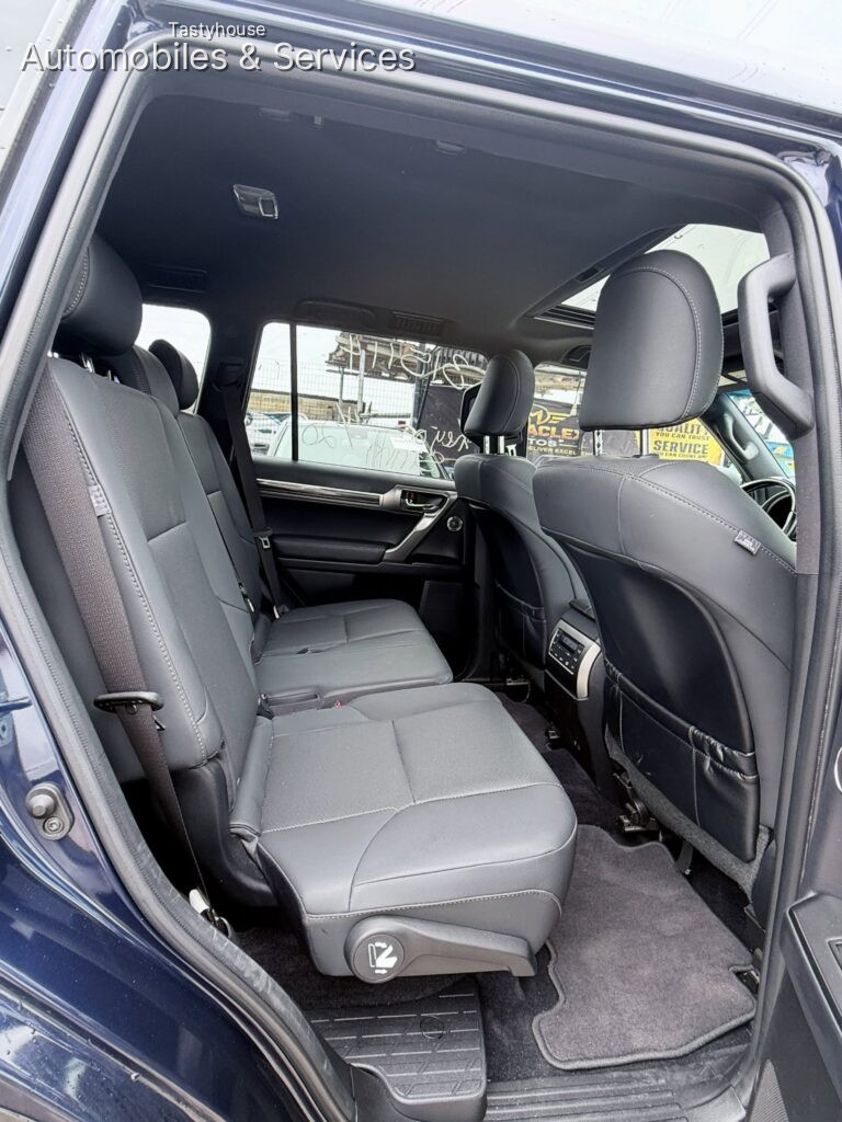 DEMACLEXOLEXUS GX460 2022