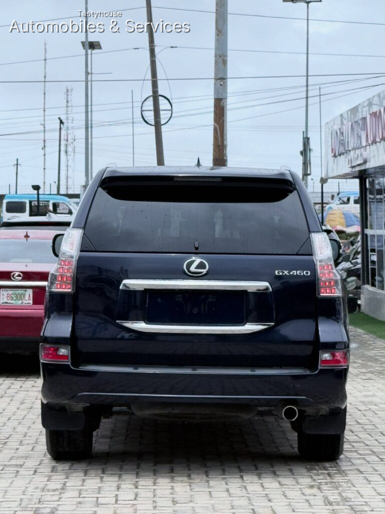DEMACLEXOLEXUS GX460 2022