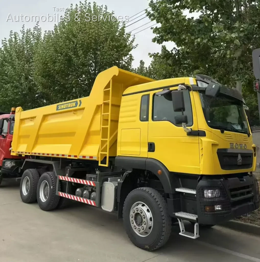 HOWO TX Dump Trucks