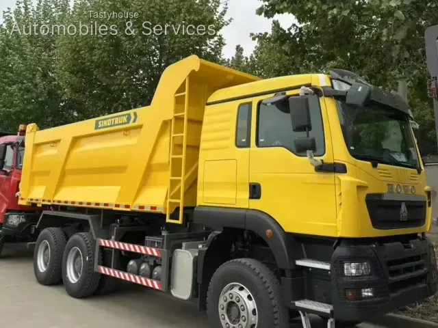 HOWO TX Dump Trucks