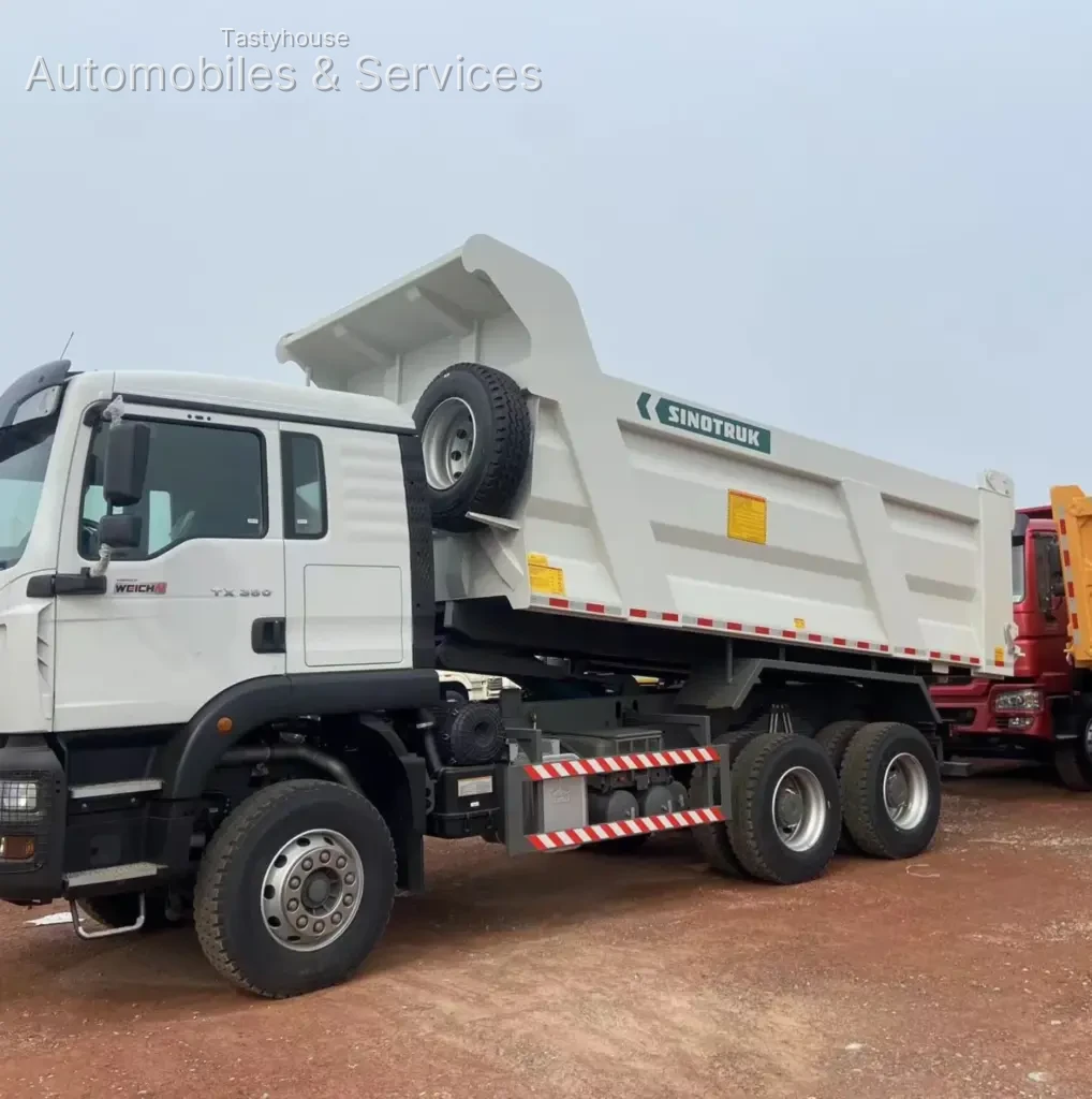 HOWO TX Dump Trucks