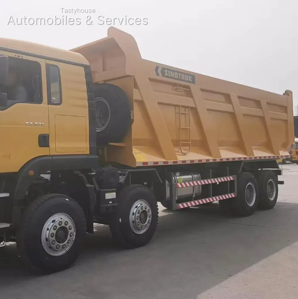HOWO TX Dump Trucks
