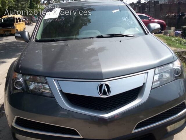 Acura 2010 model