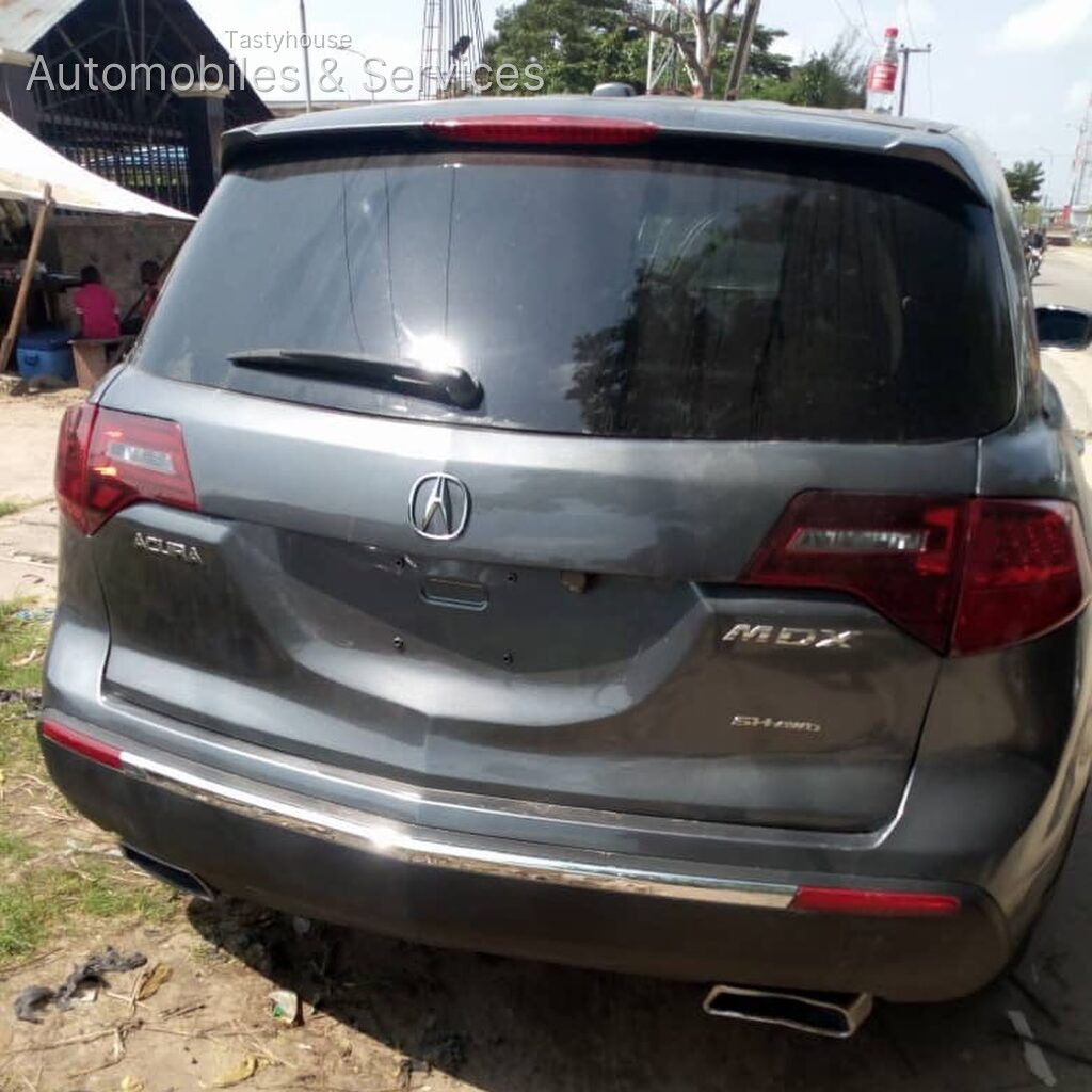 Acura 2010 model