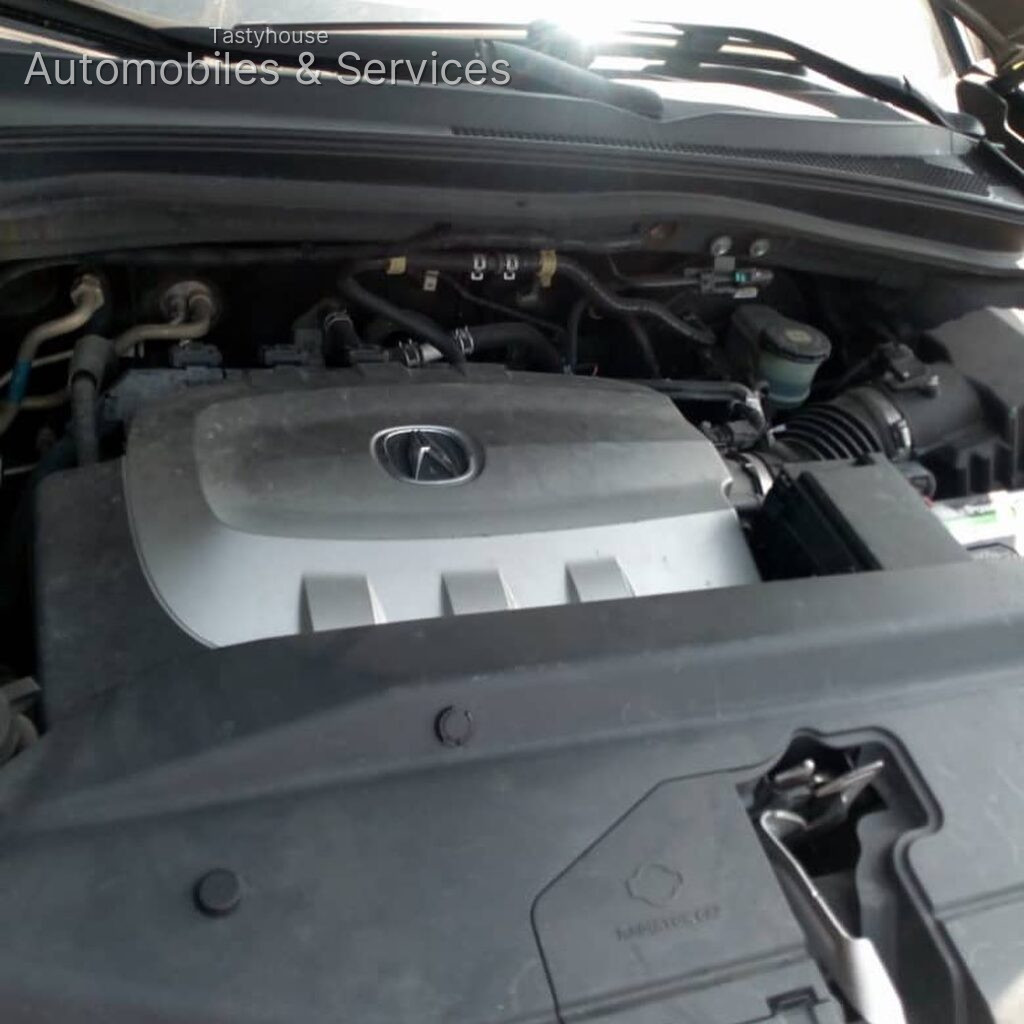 Acura 2010 model