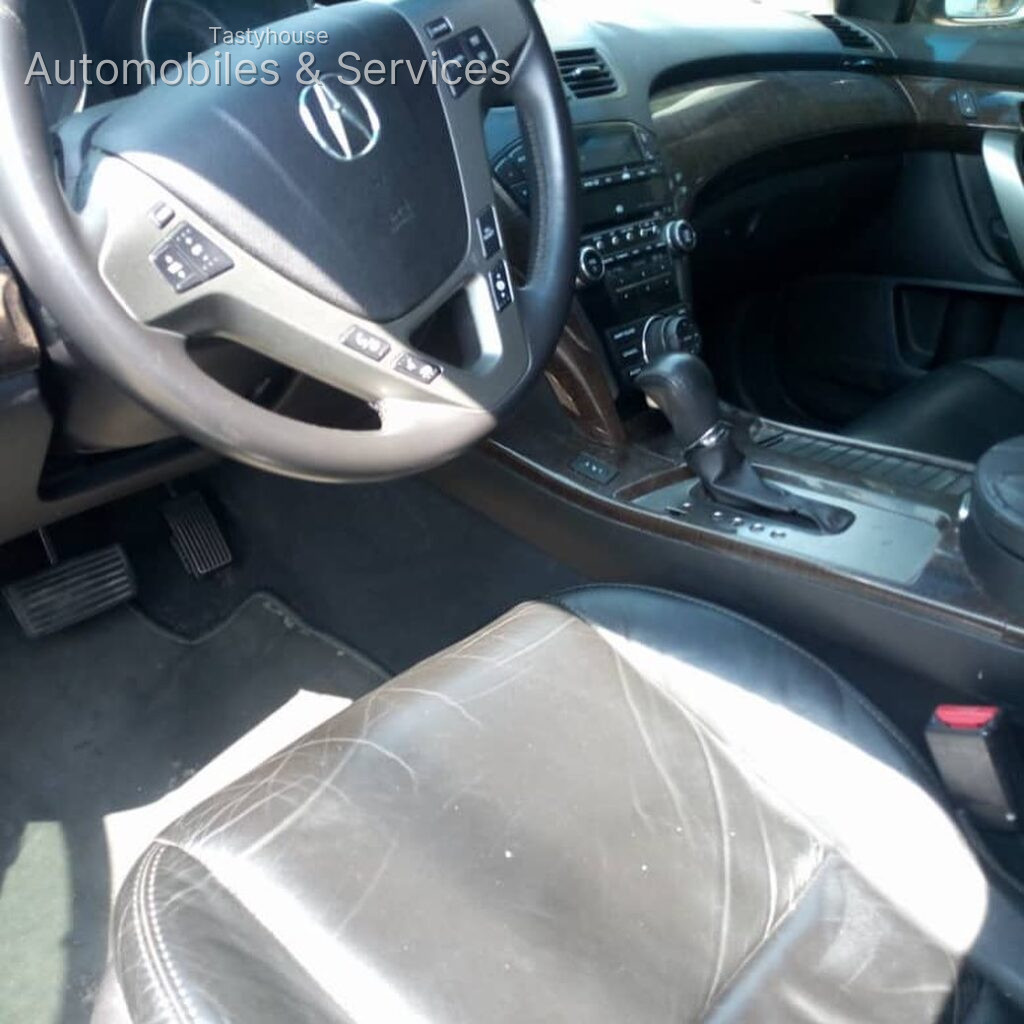 Acura 2010 model