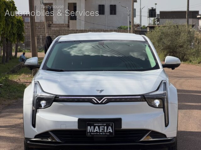 2023 NETA FULY ELECTRIC