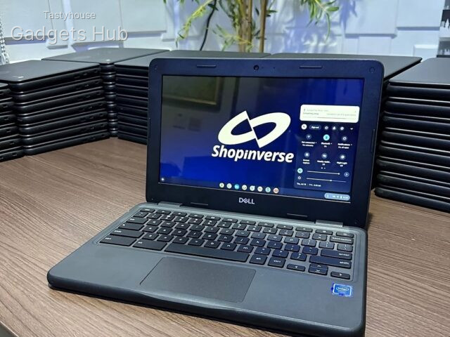 Dell Chromebook 3100